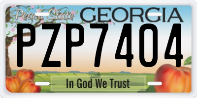 GA license plate PZP7404