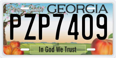 GA license plate PZP7409