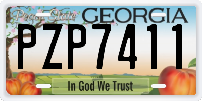 GA license plate PZP7411