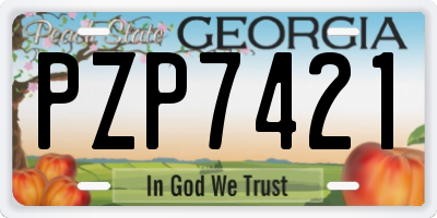 GA license plate PZP7421