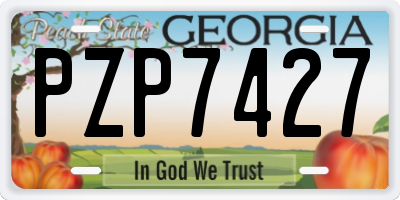 GA license plate PZP7427