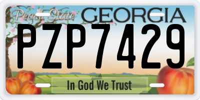 GA license plate PZP7429