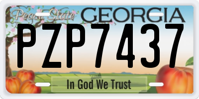 GA license plate PZP7437