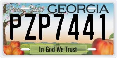 GA license plate PZP7441