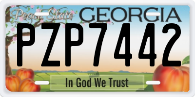 GA license plate PZP7442