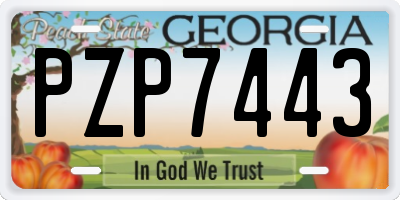 GA license plate PZP7443