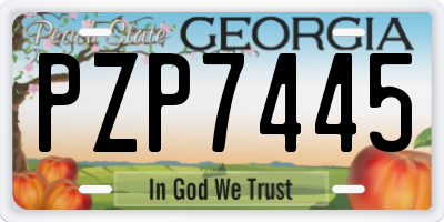 GA license plate PZP7445