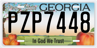 GA license plate PZP7448
