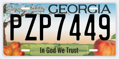 GA license plate PZP7449