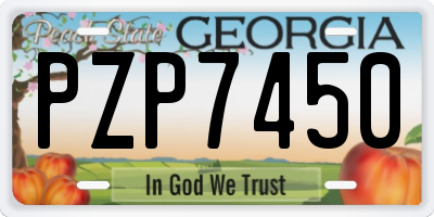 GA license plate PZP7450