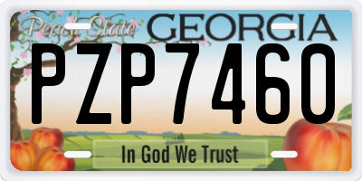 GA license plate PZP7460