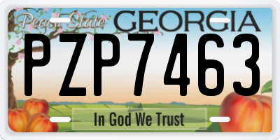 GA license plate PZP7463