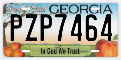 GA license plate PZP7464