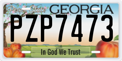 GA license plate PZP7473