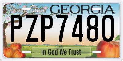 GA license plate PZP7480