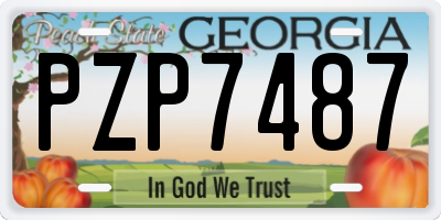 GA license plate PZP7487