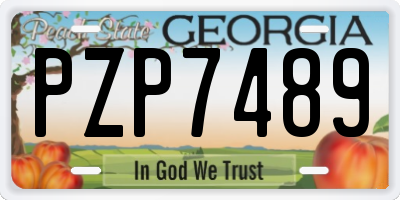 GA license plate PZP7489