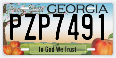GA license plate PZP7491
