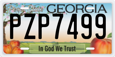 GA license plate PZP7499