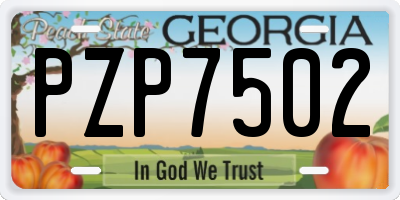GA license plate PZP7502