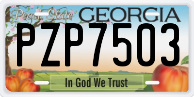 GA license plate PZP7503