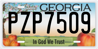 GA license plate PZP7509