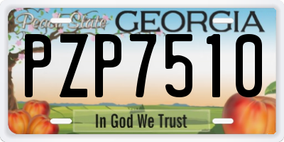 GA license plate PZP7510
