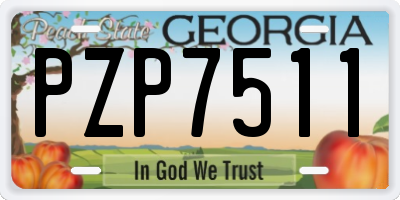 GA license plate PZP7511