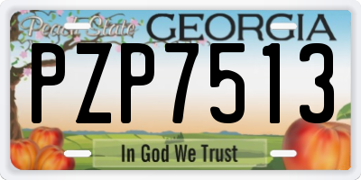 GA license plate PZP7513