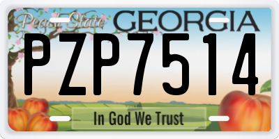 GA license plate PZP7514