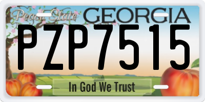 GA license plate PZP7515