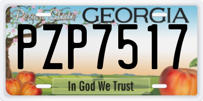 GA license plate PZP7517