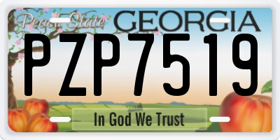 GA license plate PZP7519