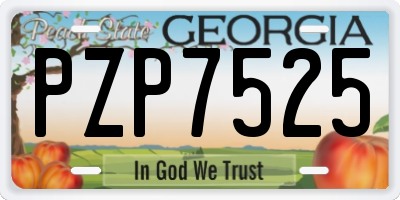 GA license plate PZP7525