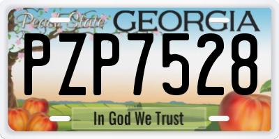 GA license plate PZP7528