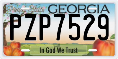 GA license plate PZP7529