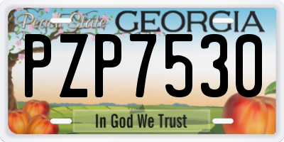 GA license plate PZP7530