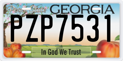 GA license plate PZP7531