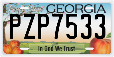GA license plate PZP7533