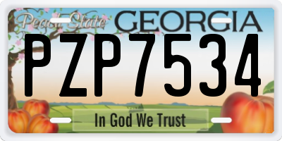 GA license plate PZP7534
