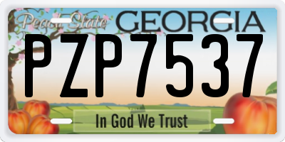 GA license plate PZP7537