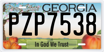GA license plate PZP7538