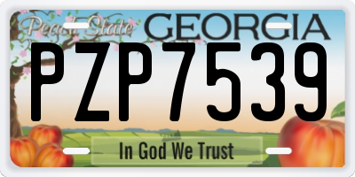 GA license plate PZP7539
