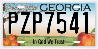 GA license plate PZP7541