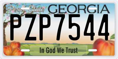 GA license plate PZP7544