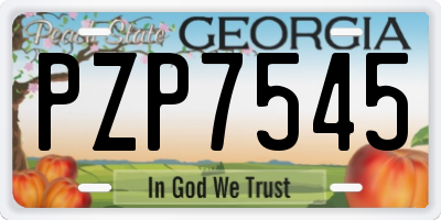 GA license plate PZP7545