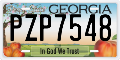 GA license plate PZP7548