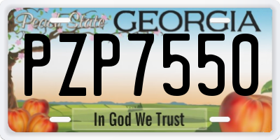 GA license plate PZP7550