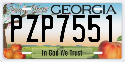 GA license plate PZP7551