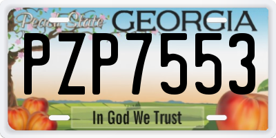 GA license plate PZP7553